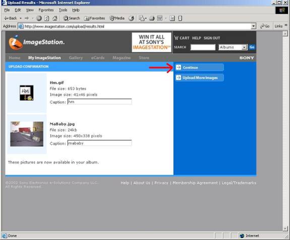 Posting Pictures In The Forums