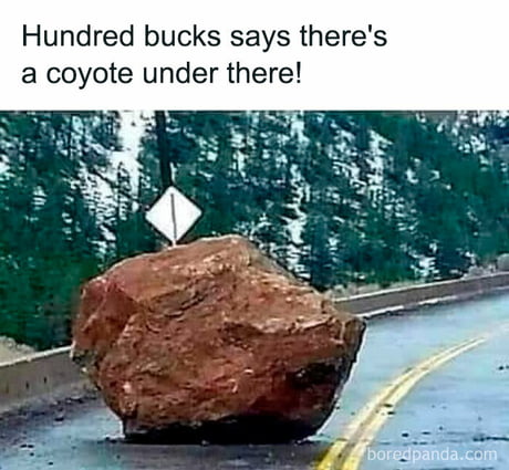 Coyote Under It.jpg