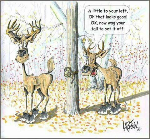 Deer Trail Cam.jpg