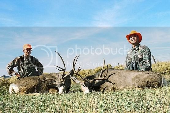 DuaneTroy11Oct2007MuleDeerBucks1.jpg