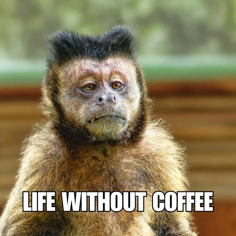 life-without-coffee.jpg