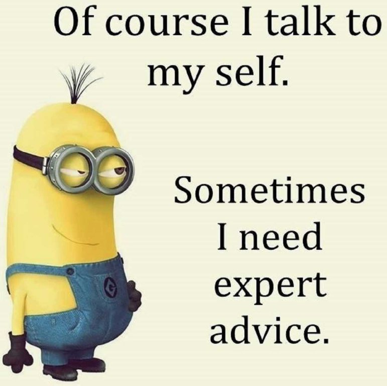 Minions Talk Self.jpg