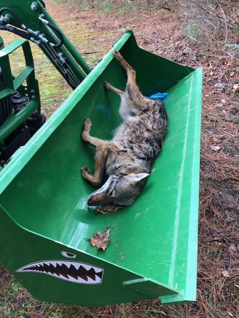 YOTE 113024 RIDE OF SHAME.jpg