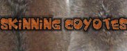 Coyote Skinning Tutorial